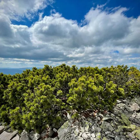 Lubka Horská chata *