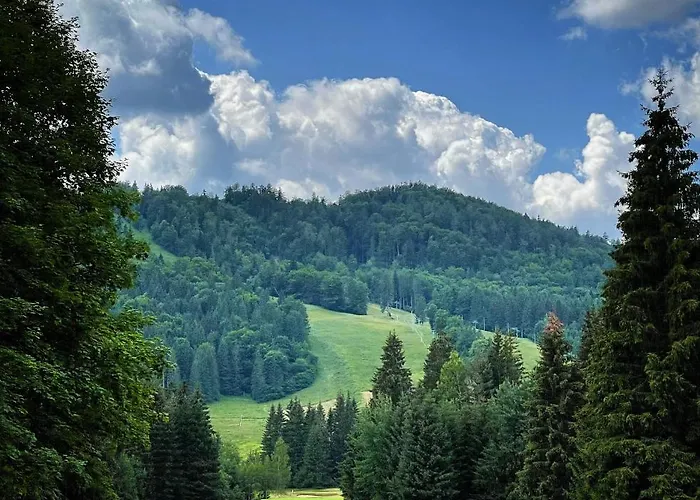 Lubka Chalet Lucatin